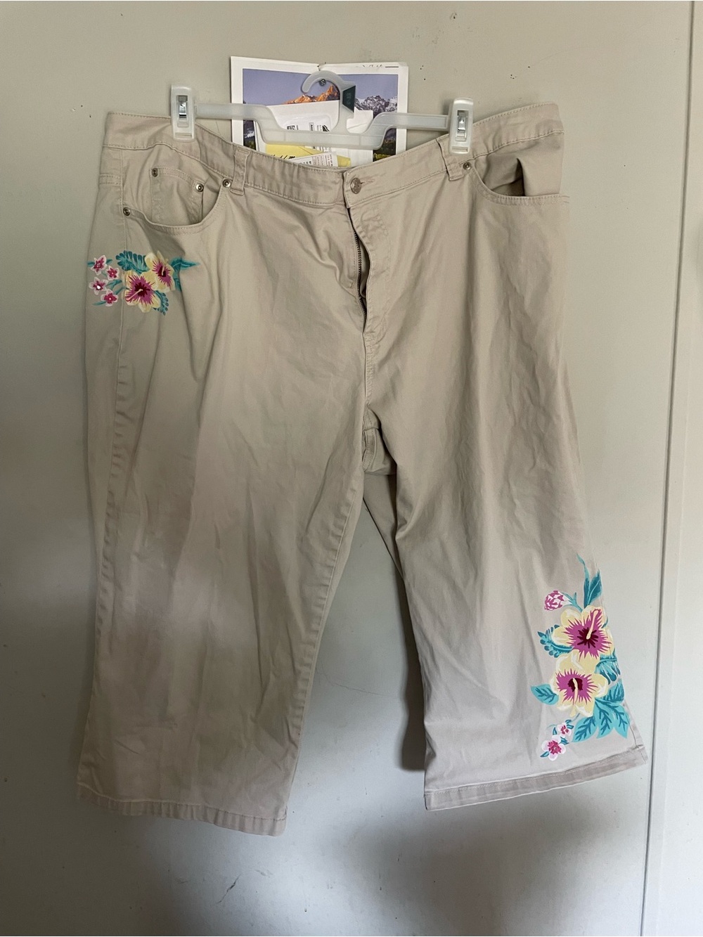 Avenue Beige Capri Pants with Pink & Teal Floral Embroidery